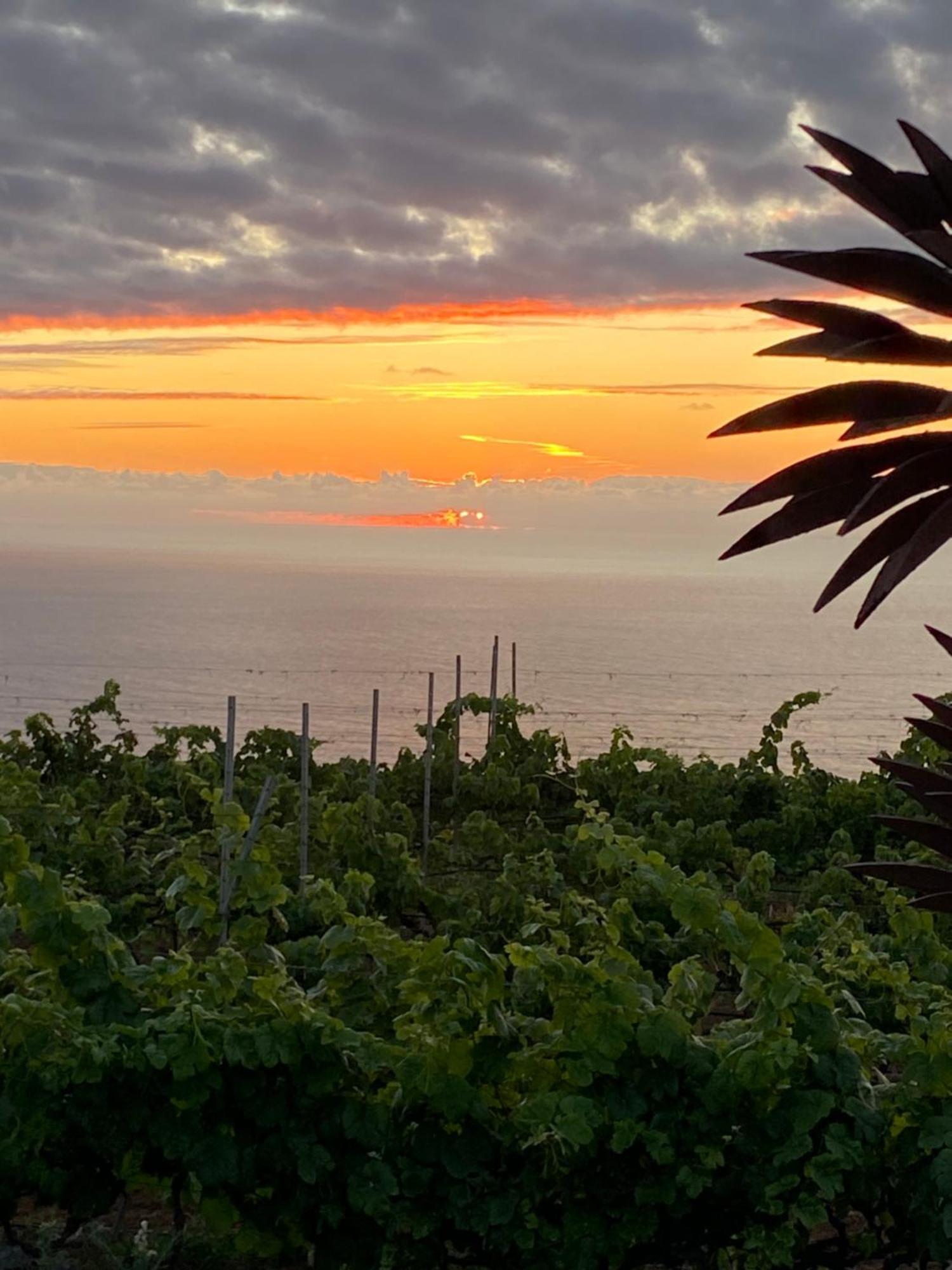 Finca Angelus Apartment Syrah With Amazing Views La Matanza De Acentejo Exterior photo